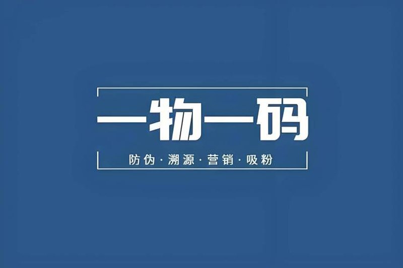 上海思观科技：引领数字创新的灯塔