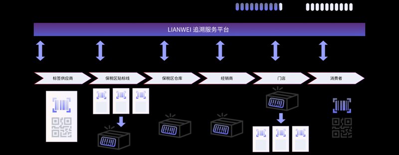 上海思观科技：引领数字创新的灯塔